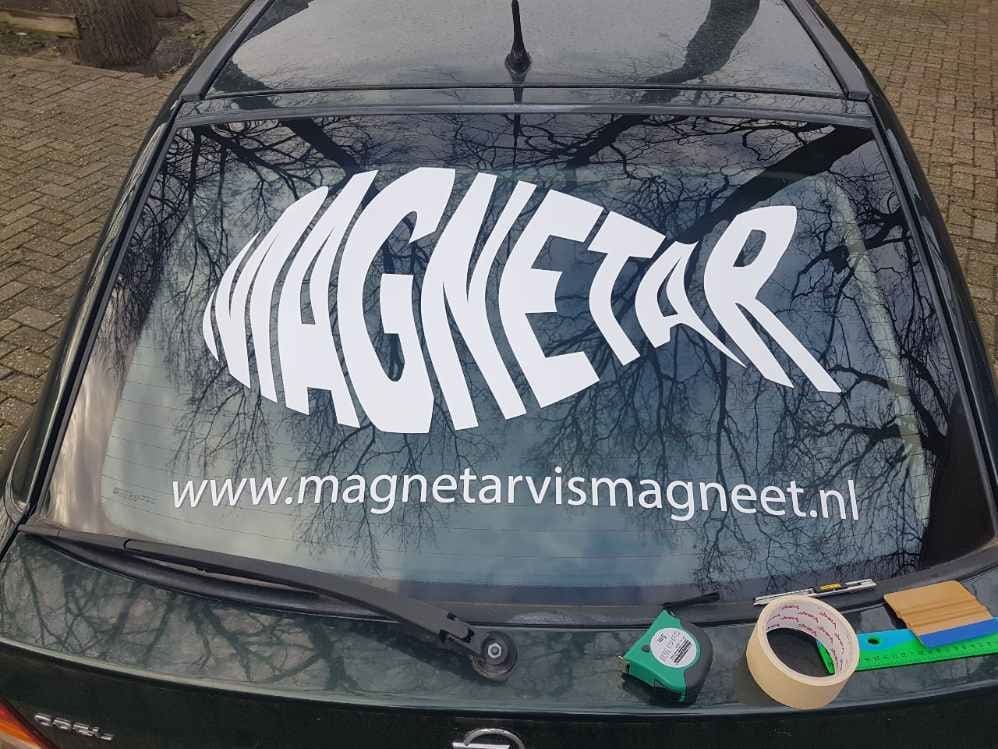 vismagneet op auto