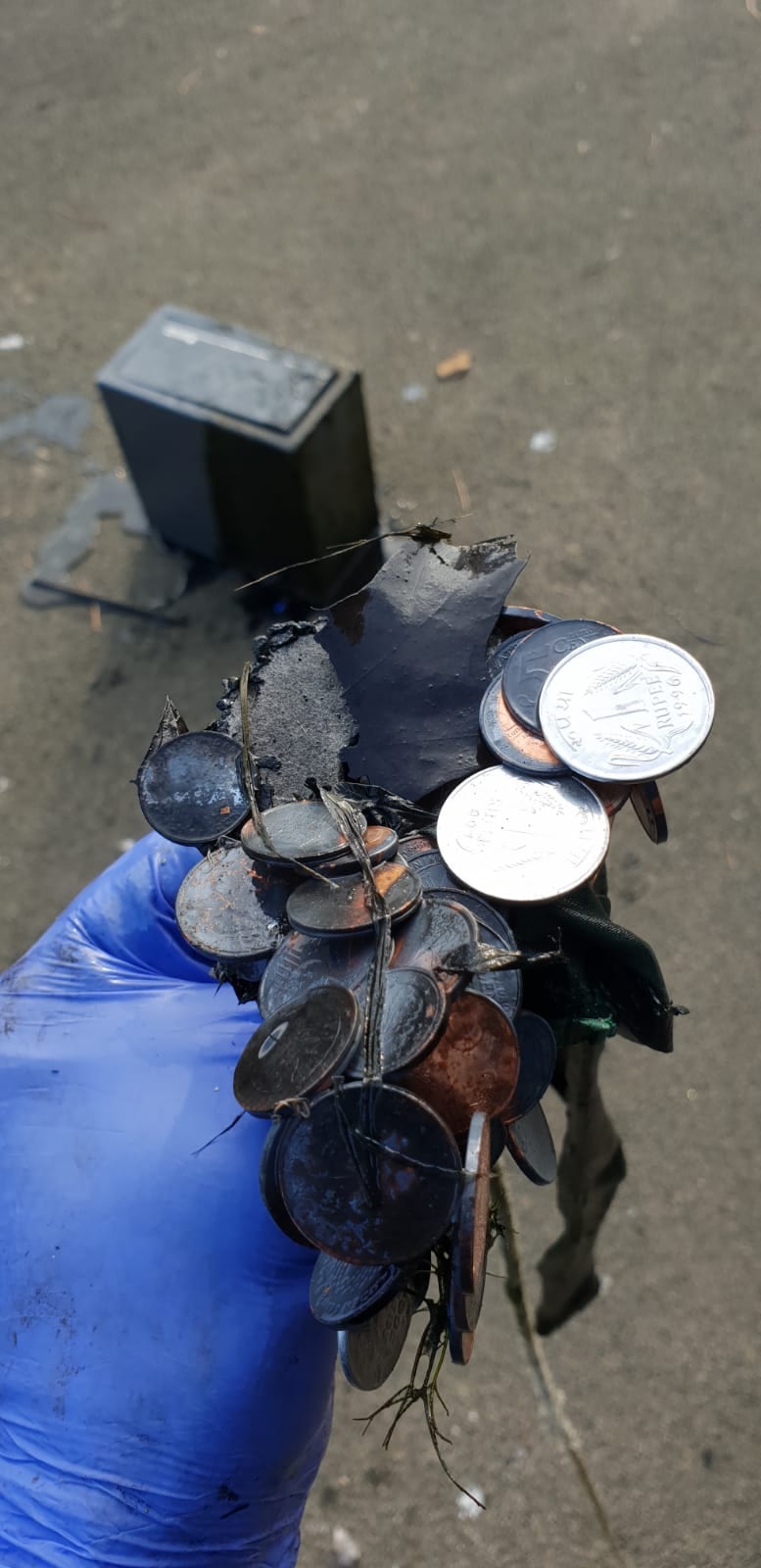 magneetvissen vondsten