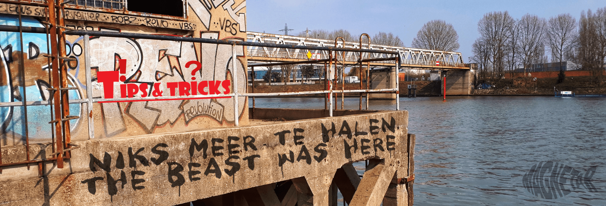 Allround vismagneet, Terror Magneet, Terror vismagneet, Easy vismagneet, Easy magneet, Hardcore magneet, Hardcore vismagneet, sterke magneet, sterke vismagneet, neodymium schijfmagneet, neodymium schijfmagneet, neodymium schijfmagneet, vismagneet, magneetvissen, vis magneet, magneet vissen, magneetvissen, vismagneet, neodymium magneten, neodymium magneet, sterke magneten, sterke magneet, magneetvissen kopen, extreme vismagneten, extreme vismagneet, The beast magneet, the beast vismagneet, beast magneet, beast vismagneet