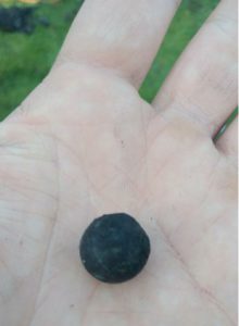 Magneet kopen Arnhem, magneetvissen Arnhem, Aankoop vismagneet, Magneetvissen kopen, magneetvissen verboden Arnhem, Magneetvissen kopen Arnhem, Magneet kopen Arnhem, Vismagneet kopen, Vismagneet kopen in Arnhem, Vis magneet Arnhem, Vismagneetwinkel Arnhem, Vismagneet winkel Arnhem, Vismagneet kopen Gelderland, Magneetvissen in de buurt van Arnhem, omgeving Arnhem magneetvissen, winkel magneet kopen Arnhem, vis magneet kopen Arnhem, Arnhem uitje, hobby Arnhem, magneetvissen bij Arnhem