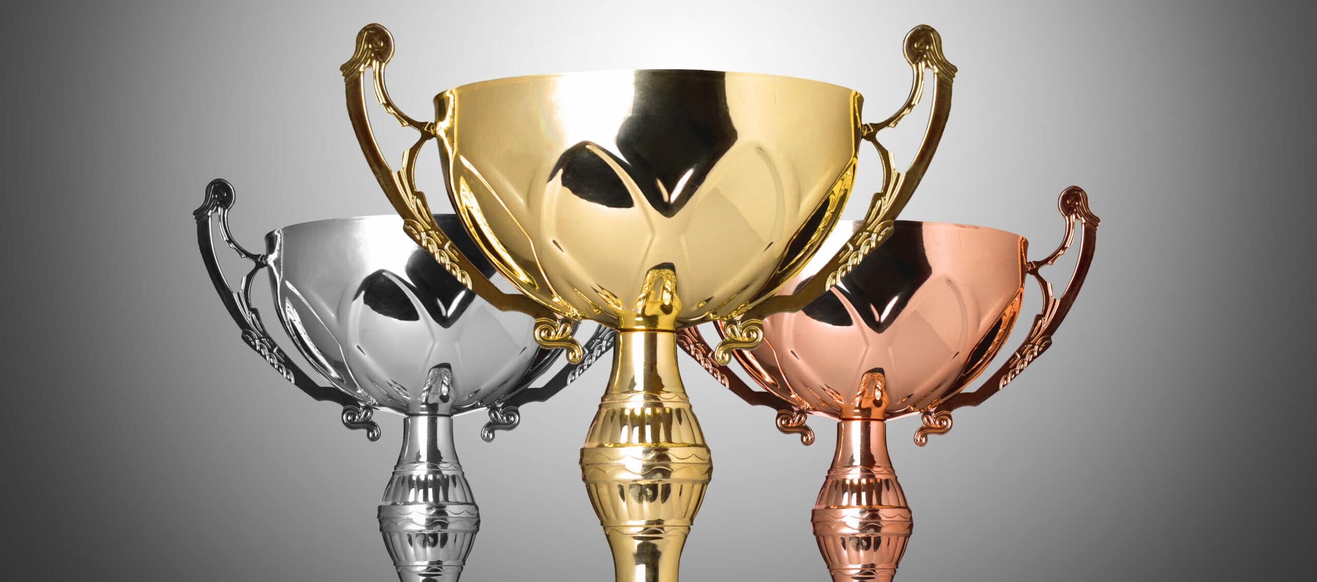 top 10 vismagneten, beste vismagneten, best verkochte vismagneten, beste magneten, top vismagneten, waar magneet kopen, vismagneet top, top 5 vismagneten, 3 beste vismagneten