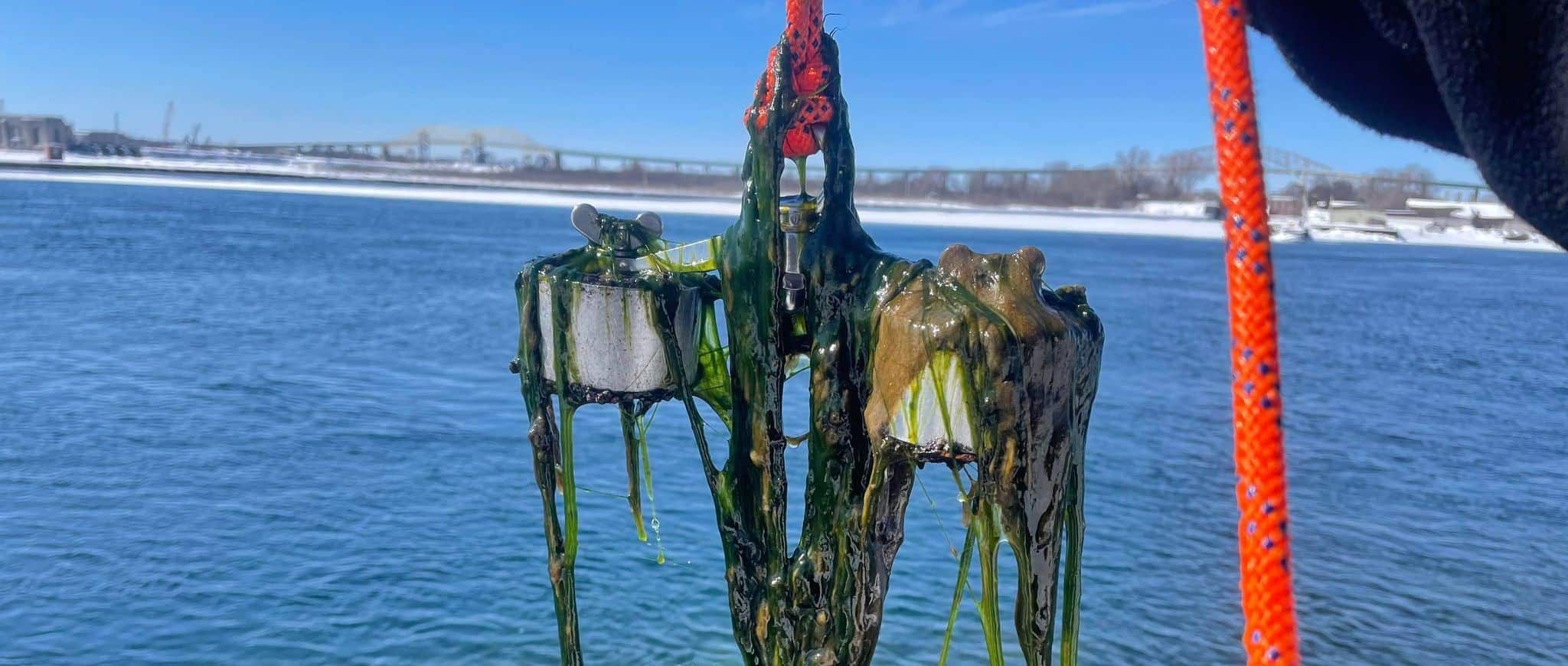 Vismagneet schoonmaken, hoe doe je dat, schoonmaken vismagneet, magneet schoonmaken